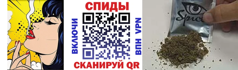 как найти закладки  площадка Telegram  Бутират вода  Салаир 